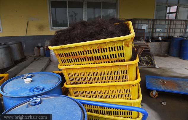  Disinfection for the hair