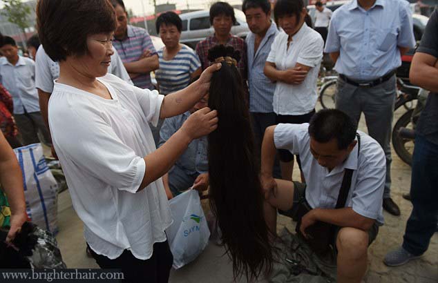  Purchasing the hair